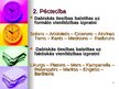 Презентация 'Tiesību filozofijas pirmsākumi Eiropā', 2.