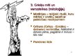 Презентация 'Tiesību filozofijas pirmsākumi Eiropā', 3.