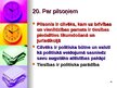 Презентация 'Tiesību filozofijas pirmsākumi Eiropā', 20.