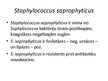 Презентация 'Staphylococcus saprophyticus baktērijas', 2.