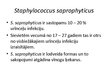 Презентация 'Staphylococcus saprophyticus baktērijas', 4.