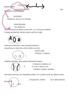 Конспект 'Loģika un kritiskā domāšana ar uzdevumiem', 3.