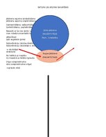 Конспект 'Loģika un kritiskā domāšana ar uzdevumiem', 5.