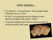 Презентация 'Zelts', 8.