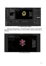 Реферат 'Skaņas vibrāciju vizualizēšana interaktīvā audiovizuālā instalācijā', 25.