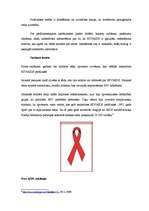 Реферат 'HIV/AIDS izplatība un cēloņi', 15.