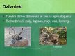 Презентация 'Apraksts par ekosistēmas pļavām', 21.