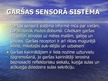 Презентация 'Sensorā sistēma', 45.