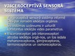 Презентация 'Sensorā sistēma', 47.