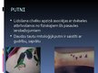 Презентация 'Simboliskās zīmes tetovējumos', 24.