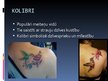 Презентация 'Simboliskās zīmes tetovējumos', 25.