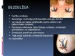 Презентация 'Simboliskās zīmes tetovējumos', 27.