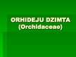 Презентация 'Orhideju dzimta', 1.