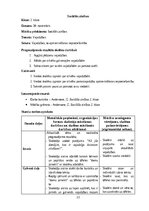 Отчёт по практике 'AKTĪVĀ MĀCĪBU UN AUDZINĀŠANAS PRAKSE SĀKUMSKOLĀ', 22.