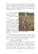 Реферат 'Apses dabīgās atjaunošanās novērtējums Kolberģa mežniecībā', 25.