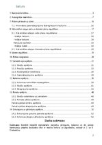 Образец документа 'Dzelzsbetona konstrukcijas', 2.