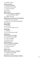 Образец документа 'Dzelzsbetona konstrukcijas', 42.