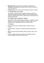 Эссе 'Vielmaiņa – organisma ķīmisko procesu pārskats', 4.