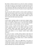 Конспект 'Suicidālas uzvedības riska faktori', 13.