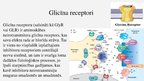 Презентация 'Glicīns', 10.