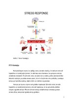 Реферат 'Postrtraumatiskā stresa sindroms', 7.