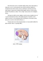 Реферат 'Postrtraumatiskā stresa sindroms', 8.