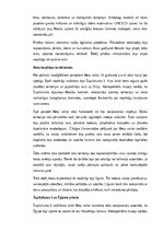 Конспект 'Hetiti: vēsture, kultūra, mitoloģija, sabiedrība un kultūras mantojums', 6.