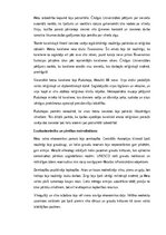 Конспект 'Hetiti: vēsture, kultūra, mitoloģija, sabiedrība un kultūras mantojums', 11.