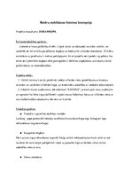 Конспект 'Mobilās lietotnes biznesa koncepcija', 1.