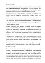 Конспект 'C vitamīna noteikšana augļos un dārzeņos', 15.