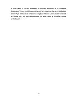 Отчёт по практике 'Starptautiskie ekonomiskie sakari uzņēmumā vai iestādē', 13.