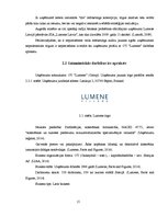 Дипломная 'Somijas kosmētikas uzņēmuma OY "Lumene" mārketinga audits Baltkrievijas tirgū', 15.