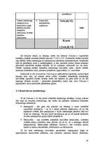 Реферат 'Informatīvā portāla "Uzkartes.lv" tirgvedības attīstības stratēģija', 48.