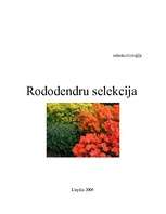 Реферат 'Rododendru selekcija', 1.