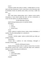 Реферат 'Mārketinga koncepciju lietojums Latvijas uzņēmumos', 4.