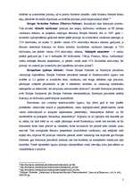 Реферат 'Eiropas Konstitūcijas projekta analīze – starpvaldību sadarbība un supranacionāl', 3.