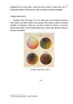 Реферат 'No dabas objektiem iegūto krāsu toņu klasificēšanas un izmantošanas iespējas pla', 13.