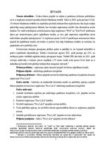 Реферат 'Ēdienu piegādes serviss kā nozīmīgs uzņēmuma “Pica LuLū”  mārketinga pasākumu ko', 3.