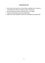 Реферат 'Ēdienu piegādes serviss kā nozīmīgs uzņēmuma “Pica LuLū”  mārketinga pasākumu ko', 22.