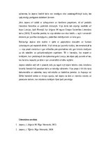 Эссе 'Jānis Joņevs – paaudzes balss un deviņdesmito gadu mīts latviešu prozā', 2.