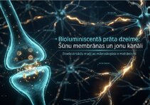 Презентация 'Šūnu membrānas un jonu kanāli', 1.