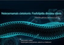 Презентация 'Šūnu membrānas un jonu kanāli', 3.