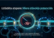 Презентация 'Šūnu membrānas un jonu kanāli', 7.