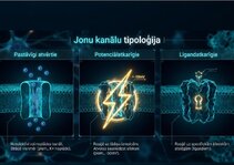Презентация 'Šūnu membrānas un jonu kanāli', 9.