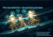 Презентация 'Šūnu membrānas un jonu kanāli', 12.