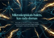 Презентация 'Šūnu membrānas un jonu kanāli', 15.