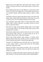 Конспект 'Renesanses filosofija', 13.
