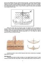 Реферат 'Vikingu perioda kuģošanas līdzekļi un to raksturojums', 7.