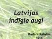 Презентация 'Latvijas indīgie augi', 1.