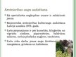 Презентация 'Inovācijas laukos - netradicionālā lauksaimniecība', 19.